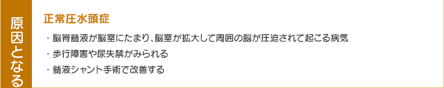 正常圧水頭症・脳脊髄液が脳室にたまり、脳室が拡大して周囲の脳が圧迫されて起こる病気・歩行障害や尿失禁がみられる・髄液シャント手術で改善する