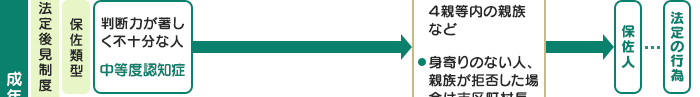 法定後見制度 保佐類型 判断力が著しく不十分な人 中等度認知症 本人・配偶者・4親等内の親族など 身寄りのない人、親族が拒否した場合は市区町村長 保佐人 法定の行為