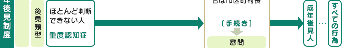 後見類型 ほとんど判断できない人 重度認知症 成年後見人 すべての行為